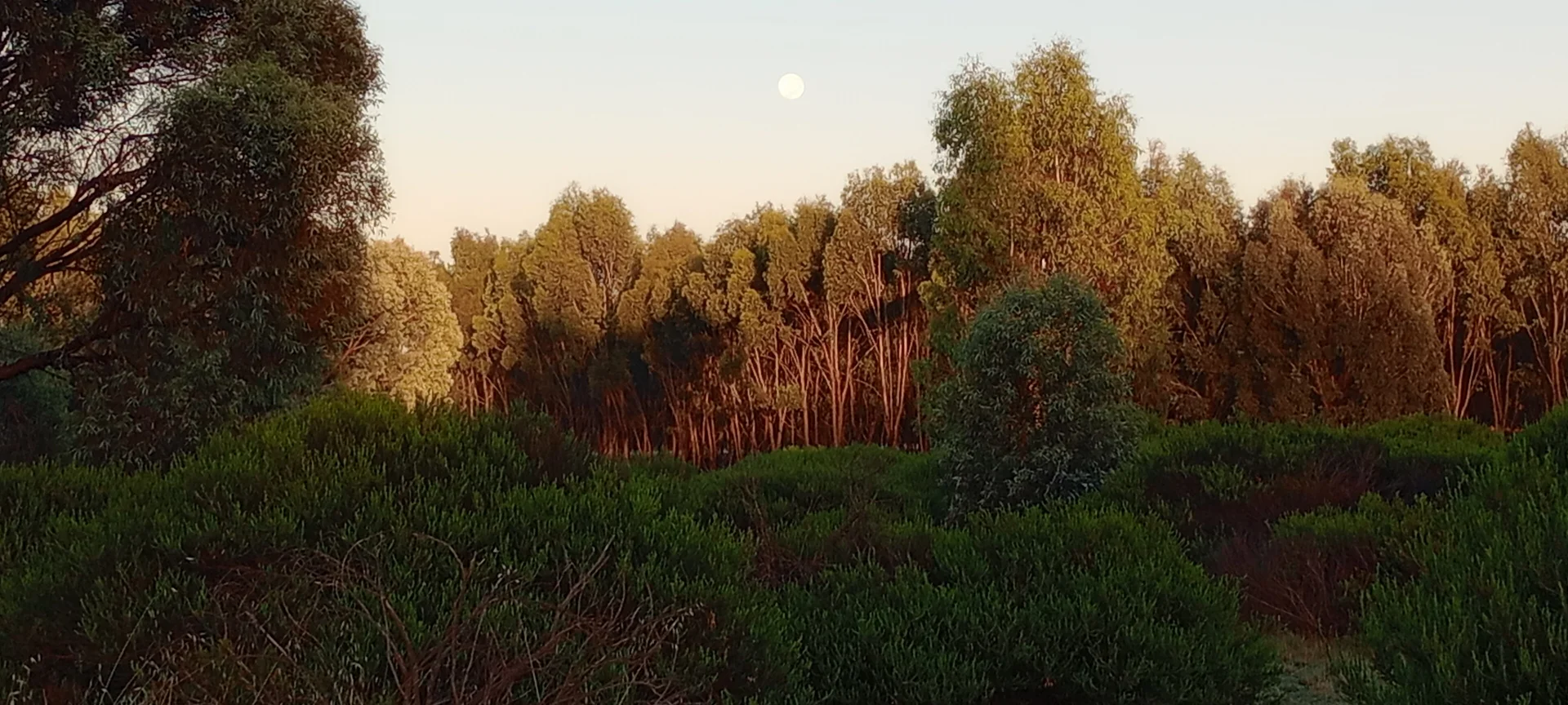 Additional image 27 of Wedderburn VIC 3518