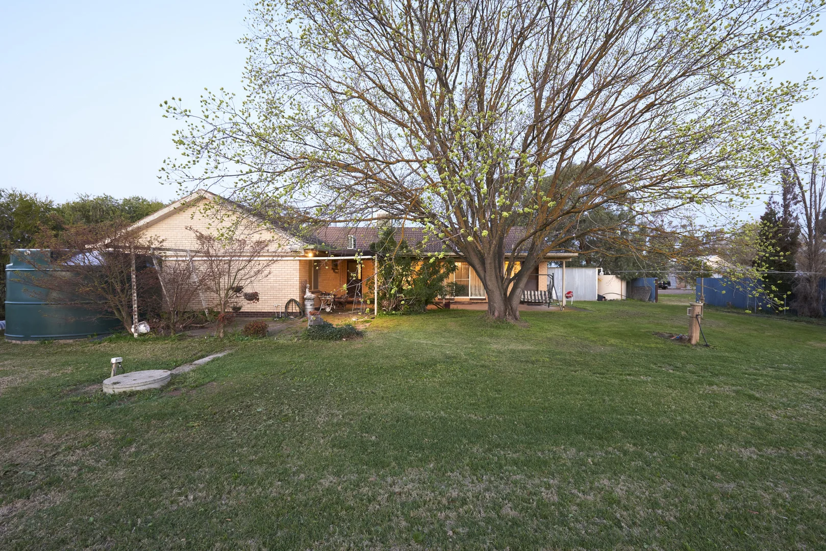 Image 11