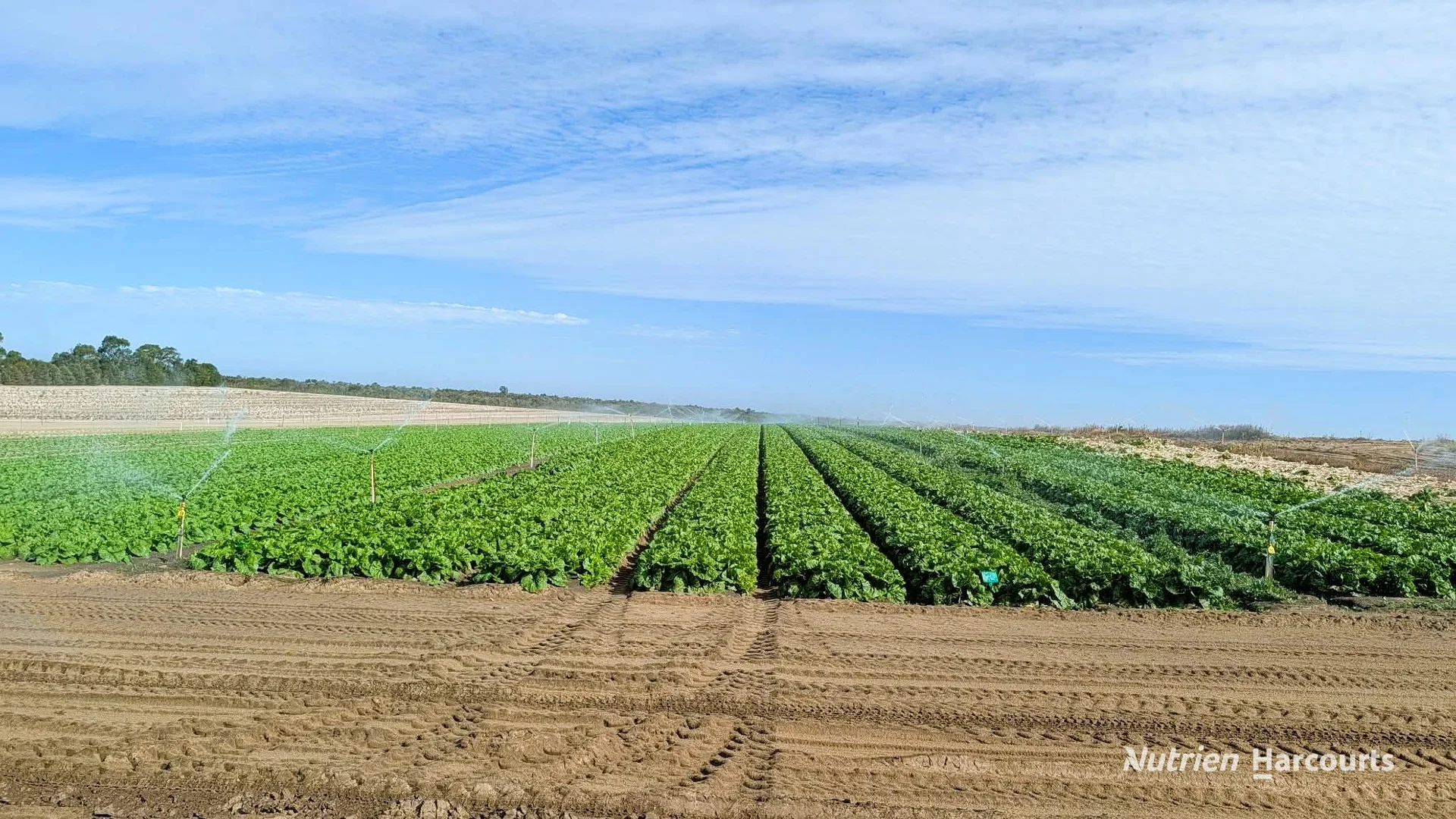 Additional image 12 of Lot 74 Croot Place, Woodridge WA 6041