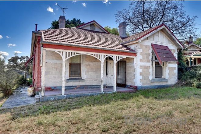 Picture of 52 Marian Place, PROSPECT SA 5082