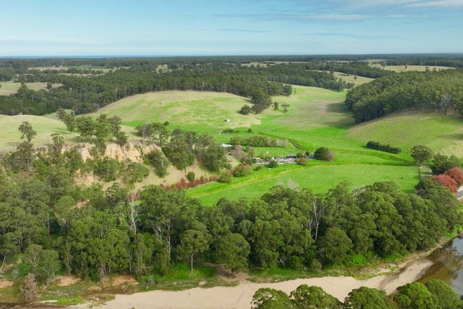 Picture of 453 Buchan-Orbost Road, BETE BOLONG VIC 3888