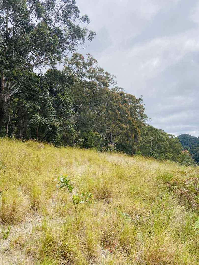 41 Kromes Road, North Arm QLD 4561 Vacant Land for Sale Domain