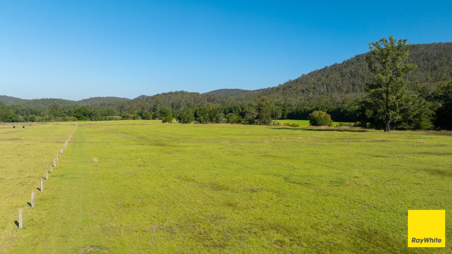 Additional image 11 of 131 Crawford River Road, Crawford River NSW 2423