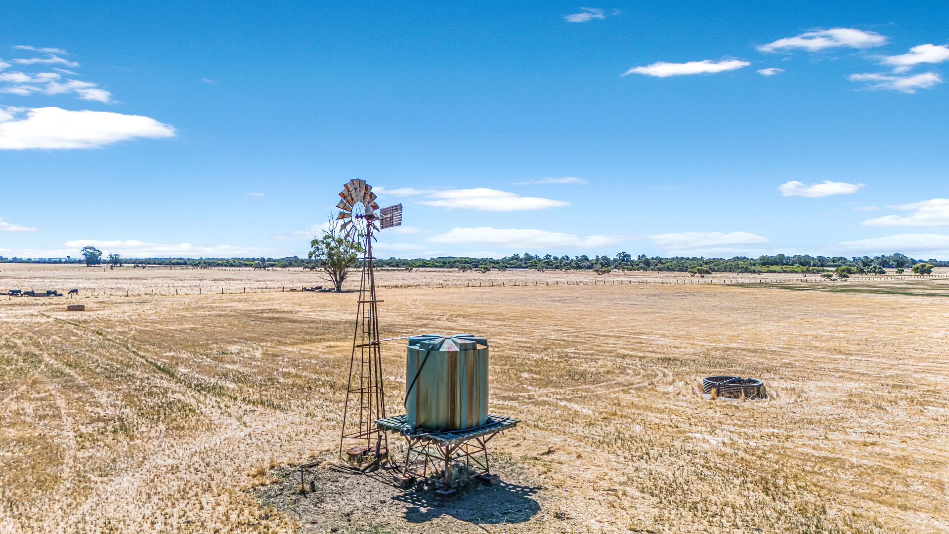 Boyanup WA 6237 vacant land for Sale, 2,570,000 2018955517 Domain