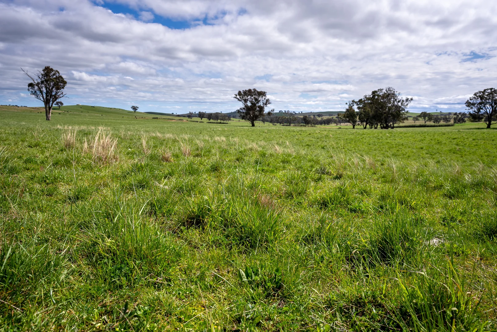 Image 18