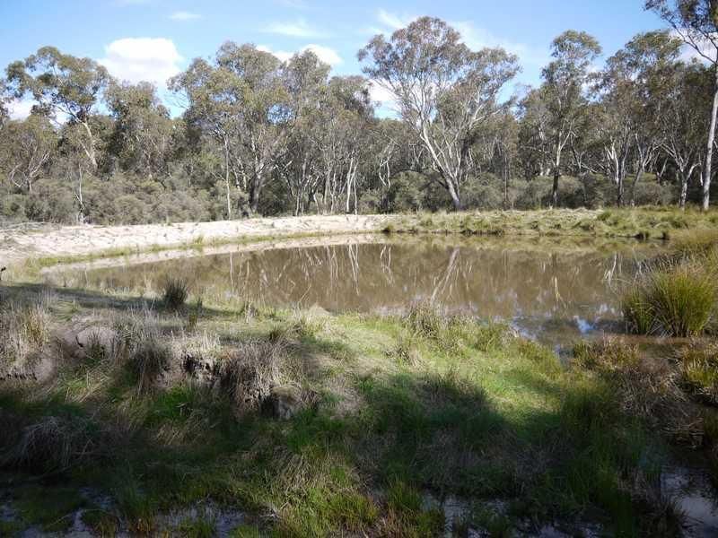 WATSONS CREEK NSW 2355, Image 1