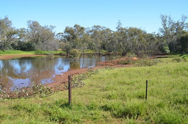 * Shady Camp, Hermidale NSW 2831, Image 1