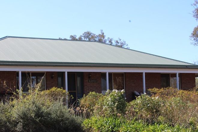 Picture of 1133 Duri Wallamore Road, BITHRAMERE NSW 2340