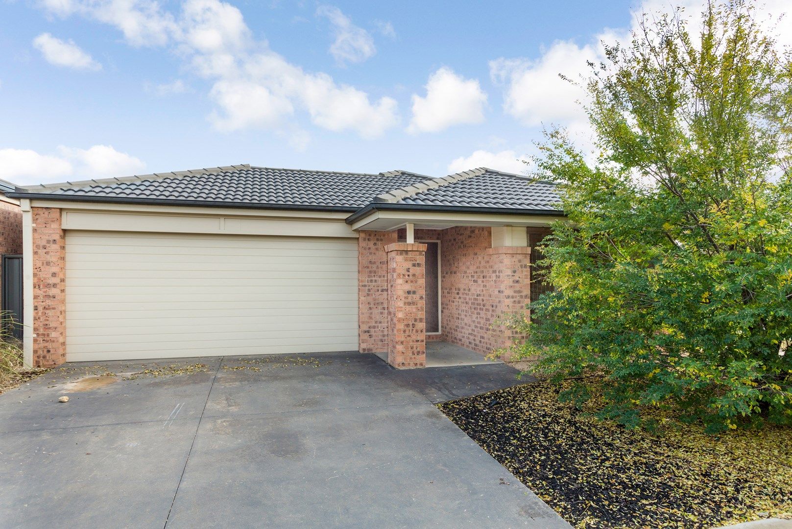 77 Dundas Street, White Hills VIC 3550, Image 0