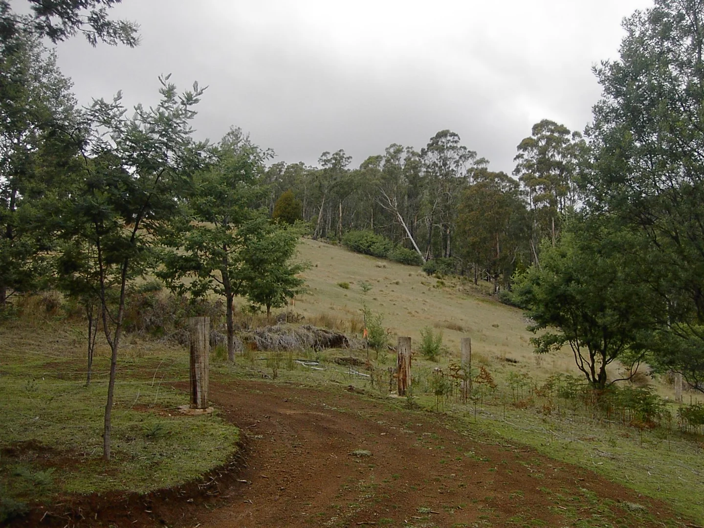 Additional image 2 of 420 Springhill Bottom Road, Colebrook TAS 7027