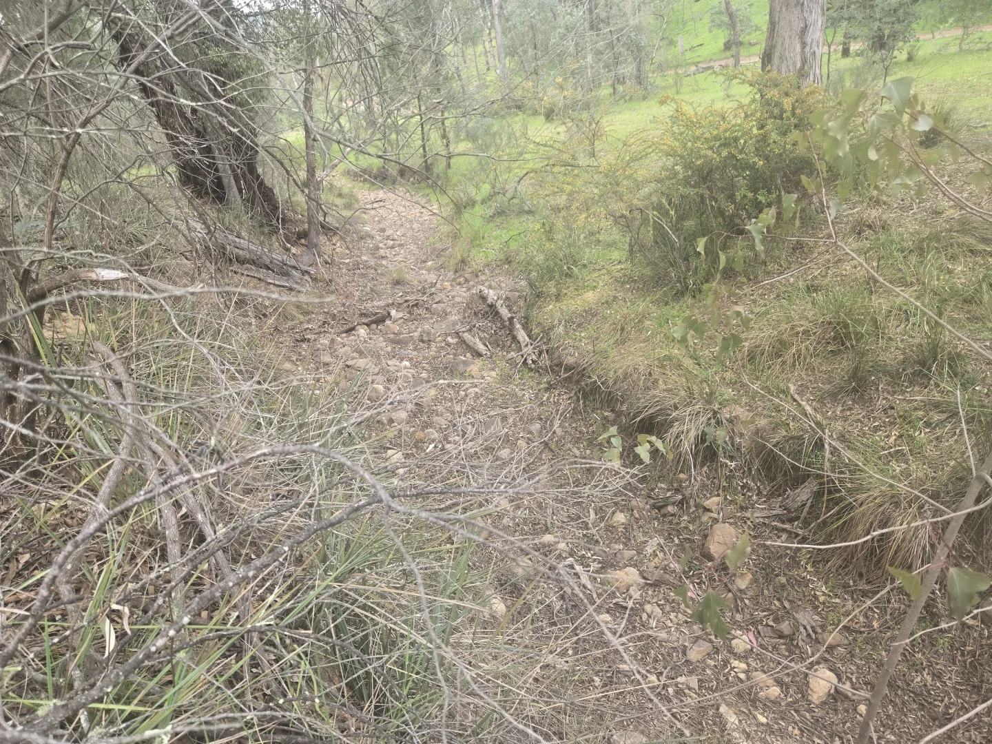 Image 12