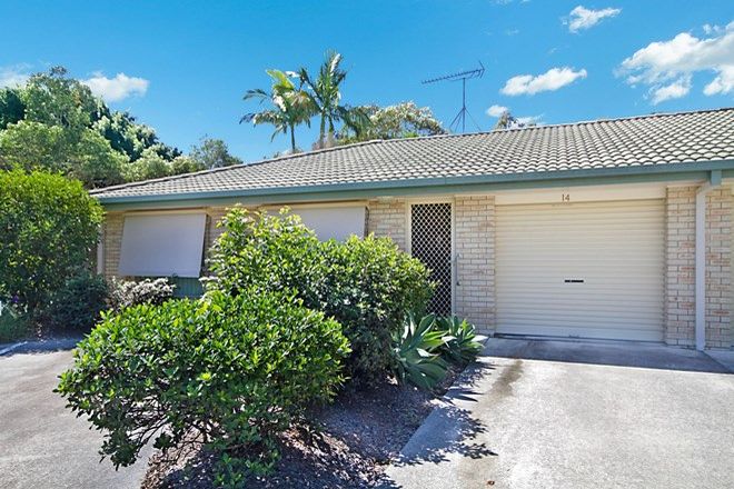 Picture of 14/6 Cardona Court, REEDY CREEK QLD 4227