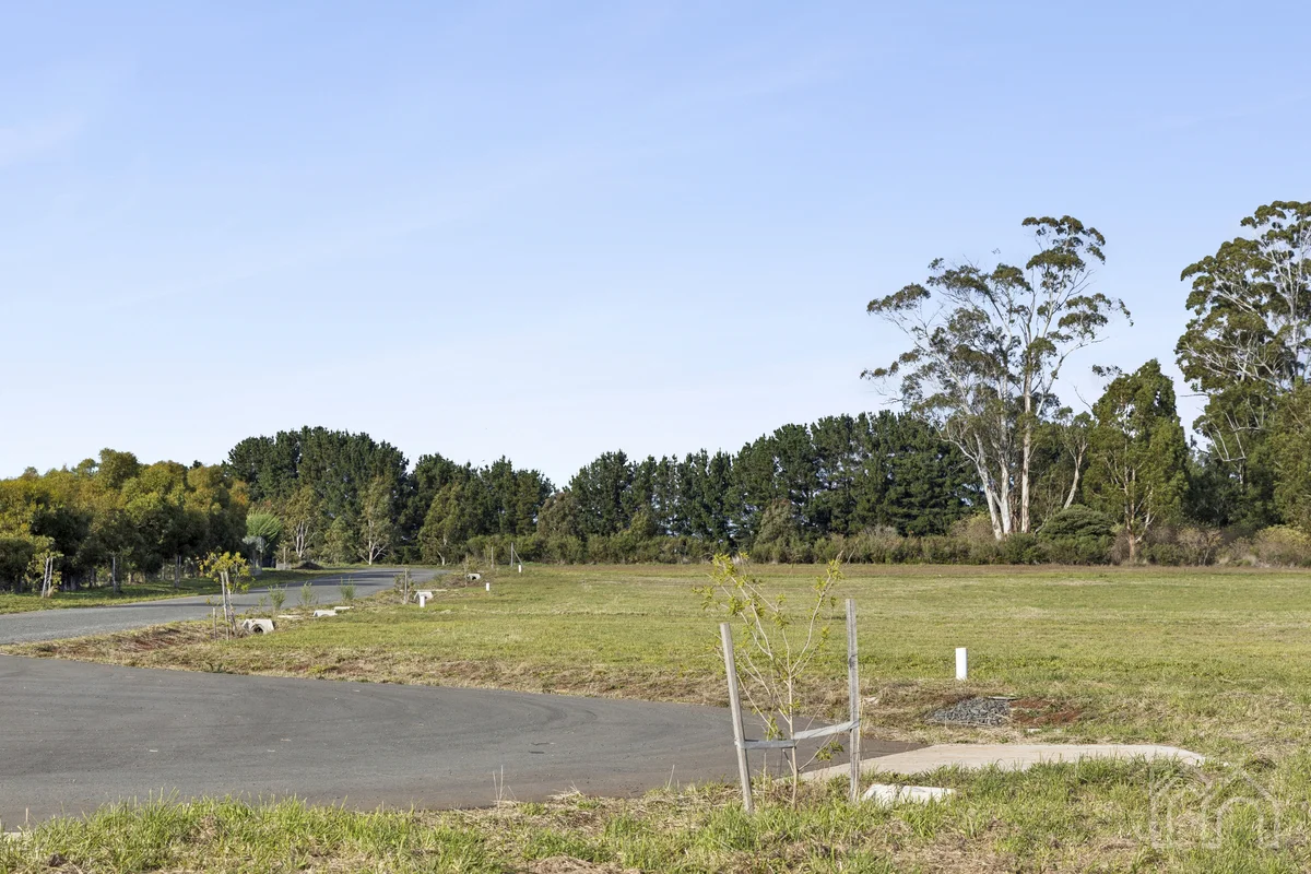 Image 19