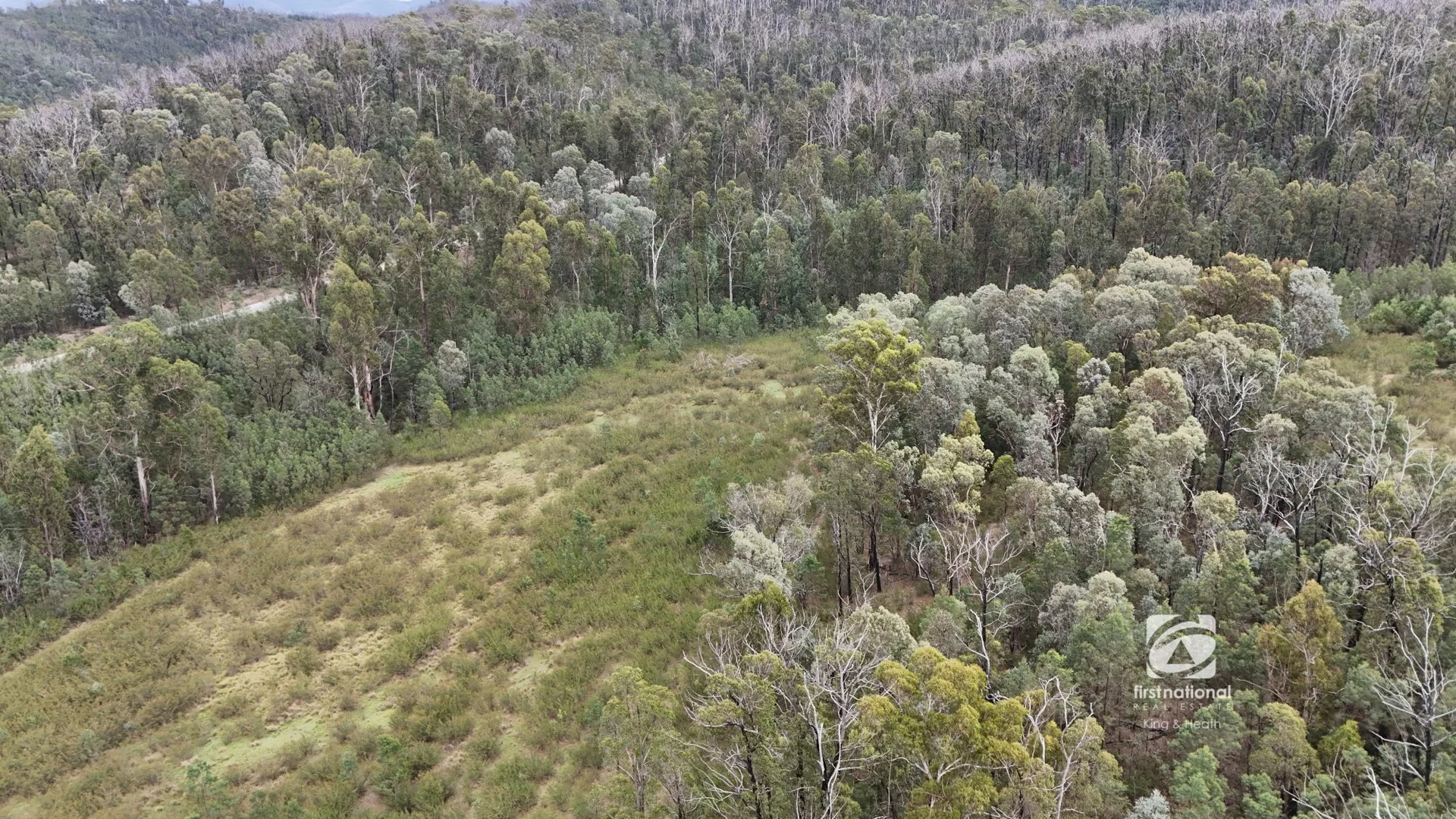 Additional image 10 of Lot 1/303 Basin Road, Buchan VIC 3885