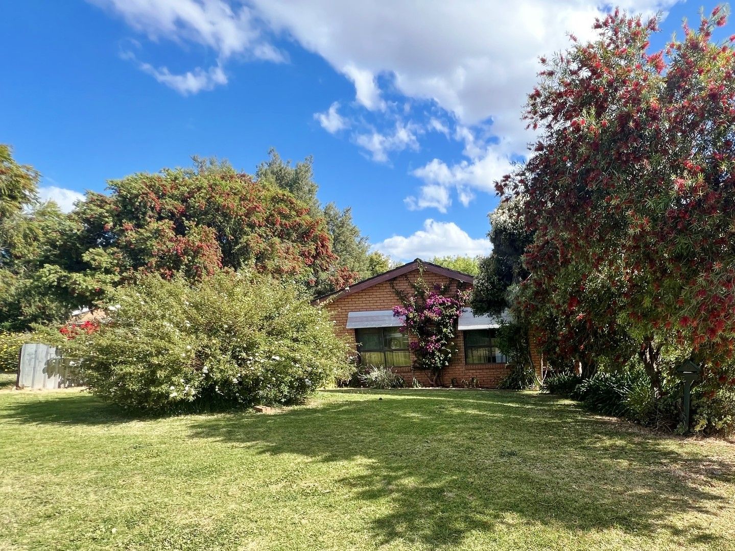 8 Dwyer Drive, Young NSW 2594, Image 0
