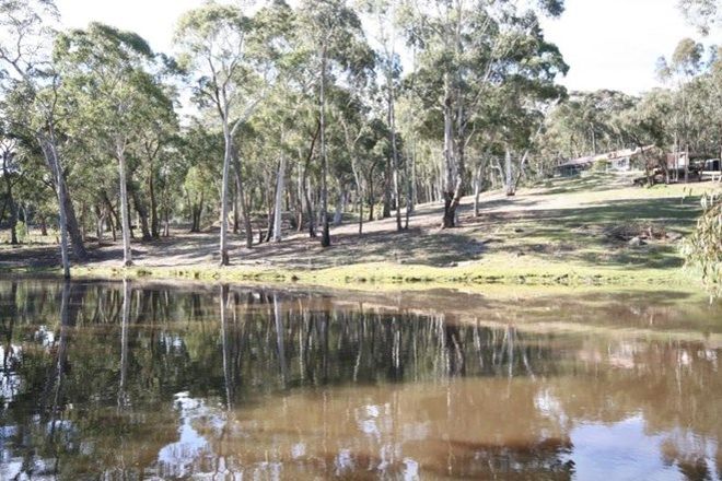 Picture of BOCOBLE NSW 2850