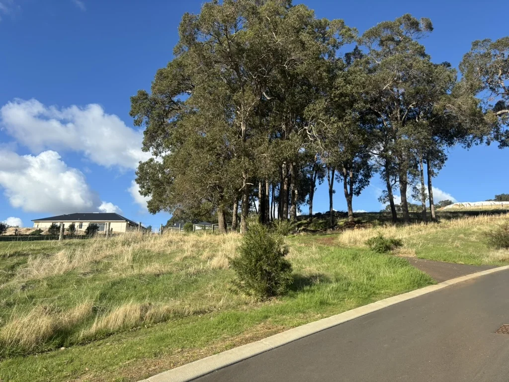 Image 19