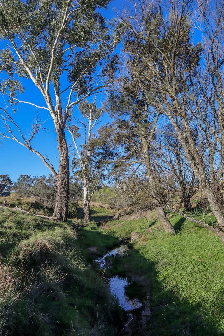 Image 19