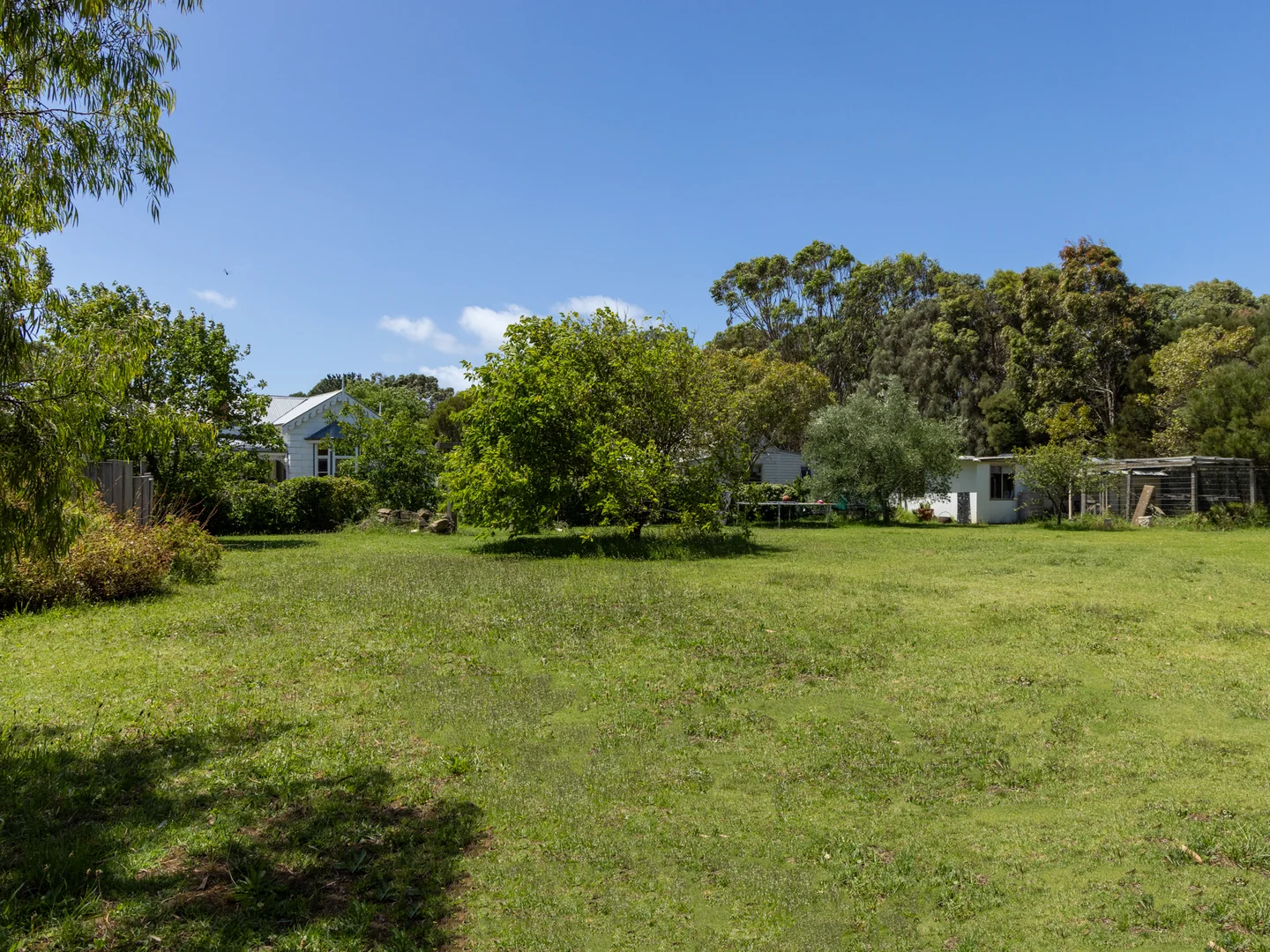 Image 25