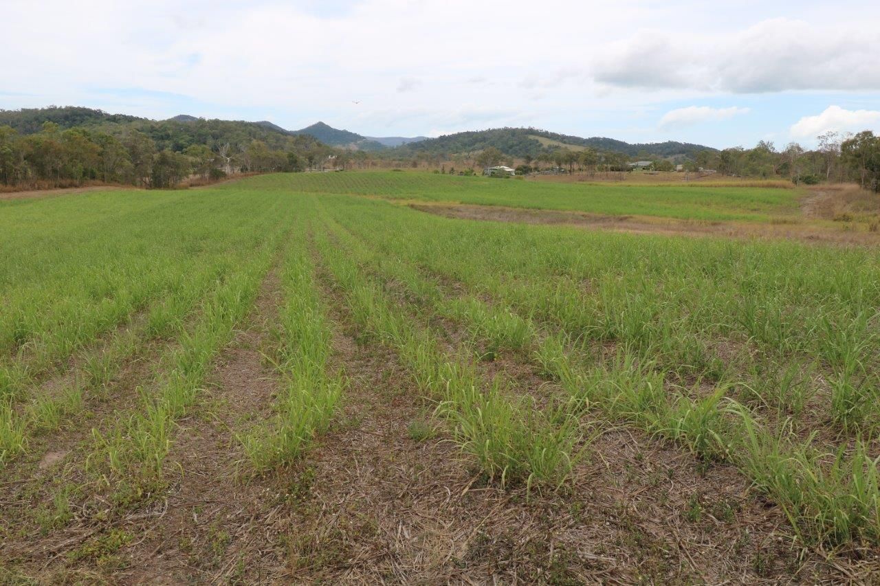 Mount Jukes QLD 4740, Image 1