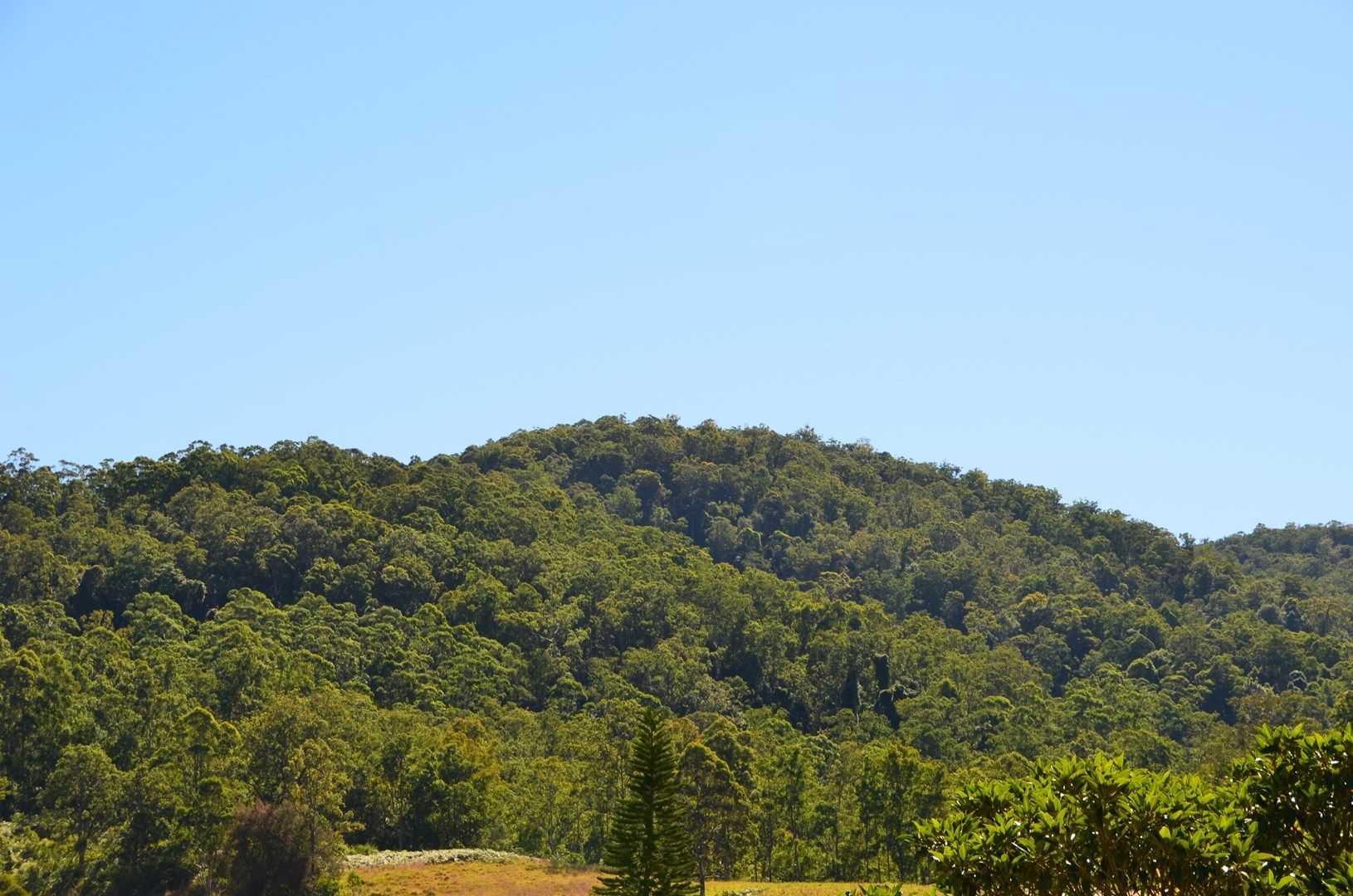 1964 Nowendoc Road, Mount Property History & Address Research