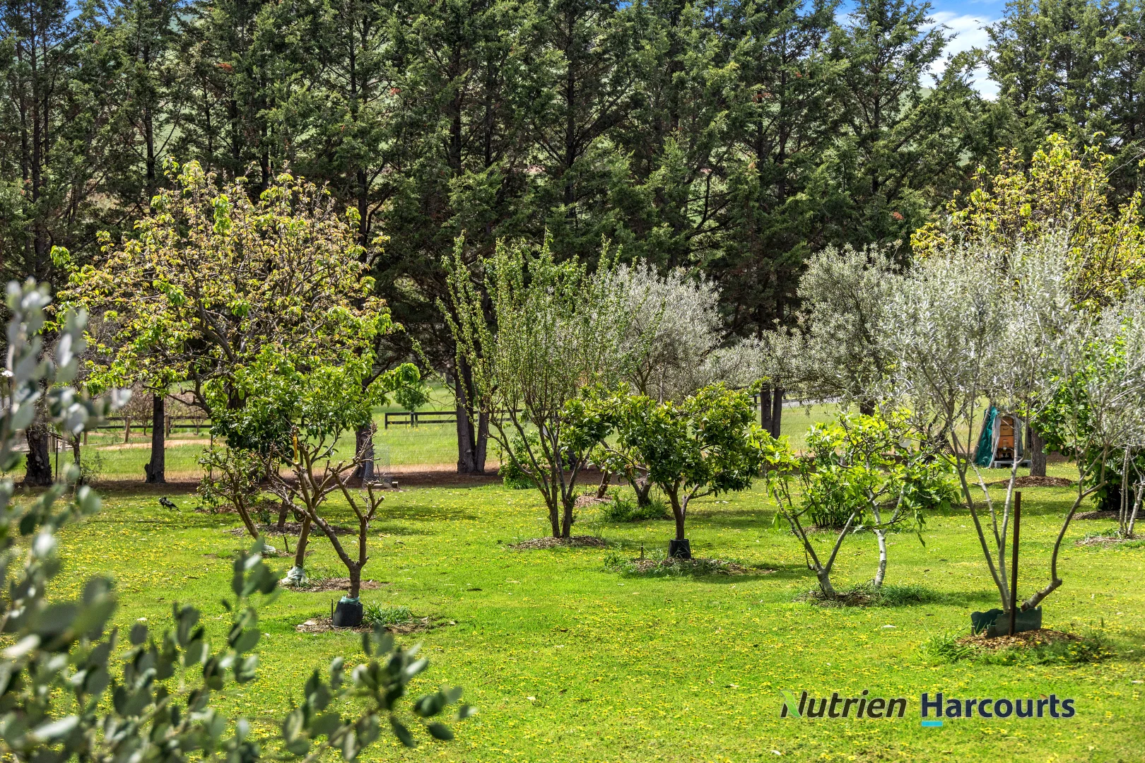 Additional image 18 of 48 Pollock Avenue, Bonnie Doon VIC 3720