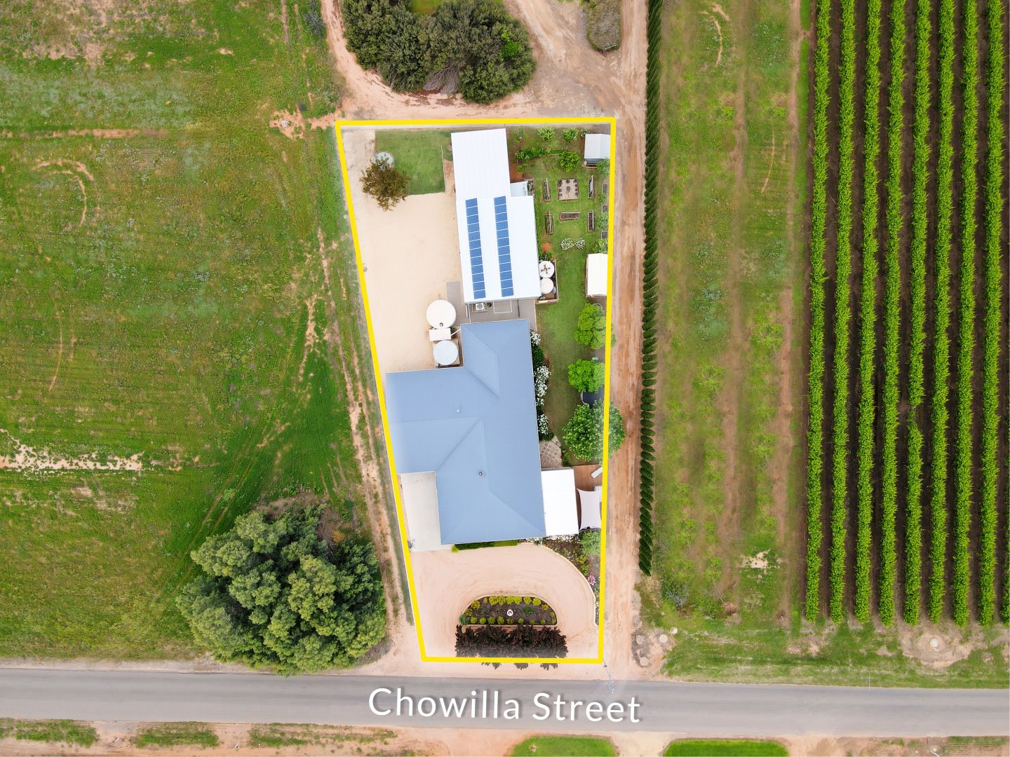 723 Chowilla Street, Renmark SA 5341, Image 1