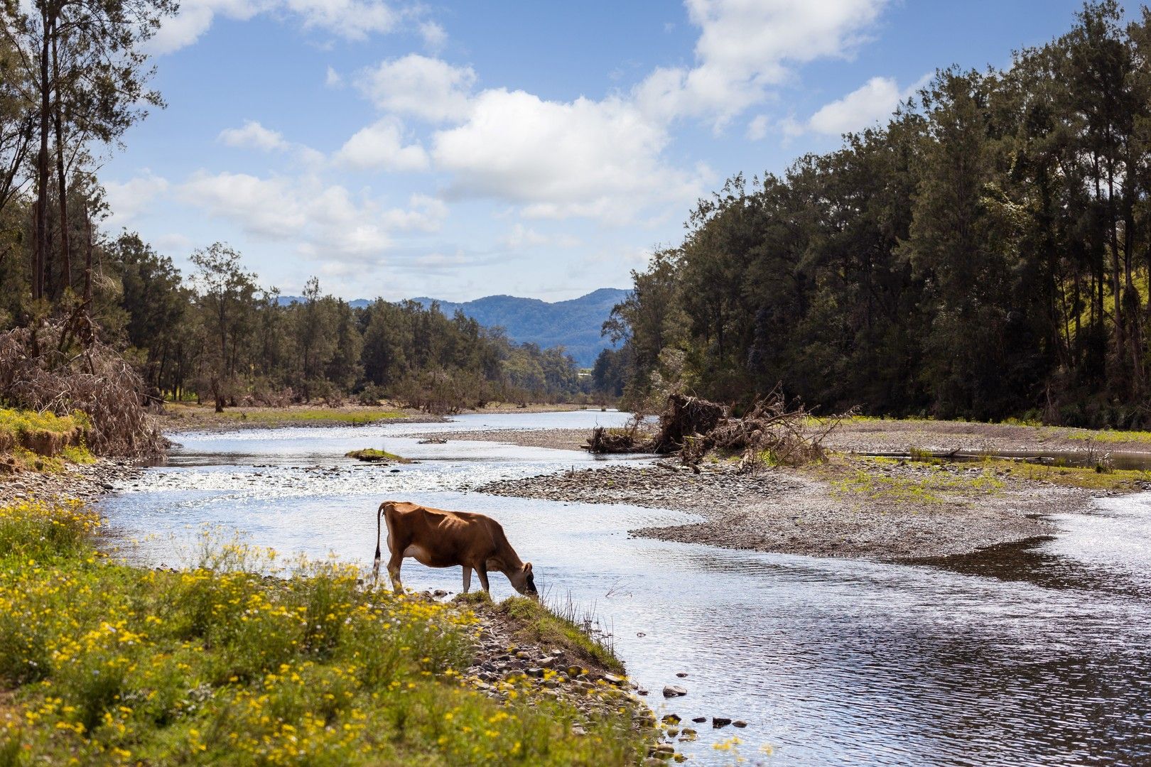 5114 Oxley Highway, Long Flat NSW 2446, Image 0