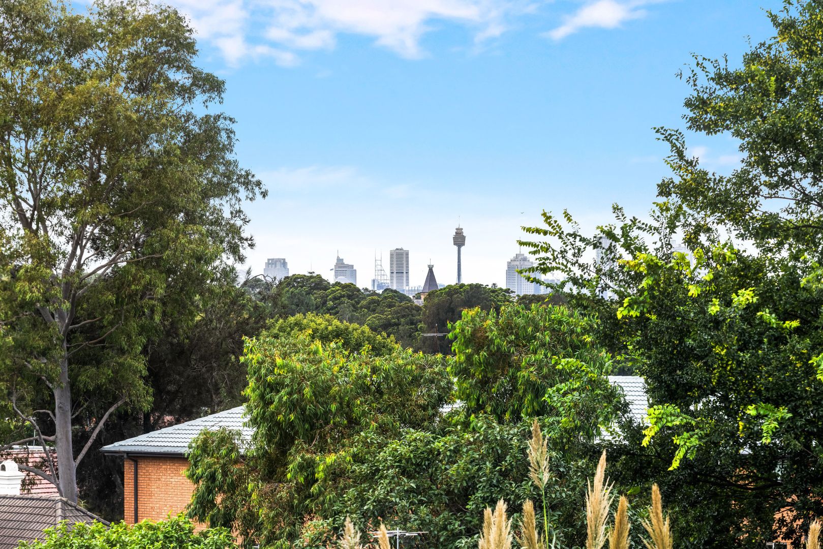 6/38 George Street, Marrickville NSW 2204, Image 1