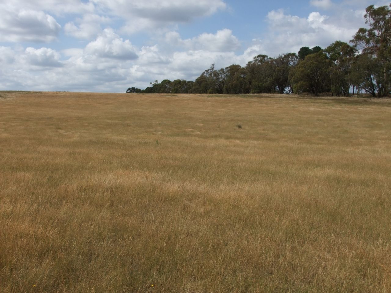 Neville NSW 2799, Image 1