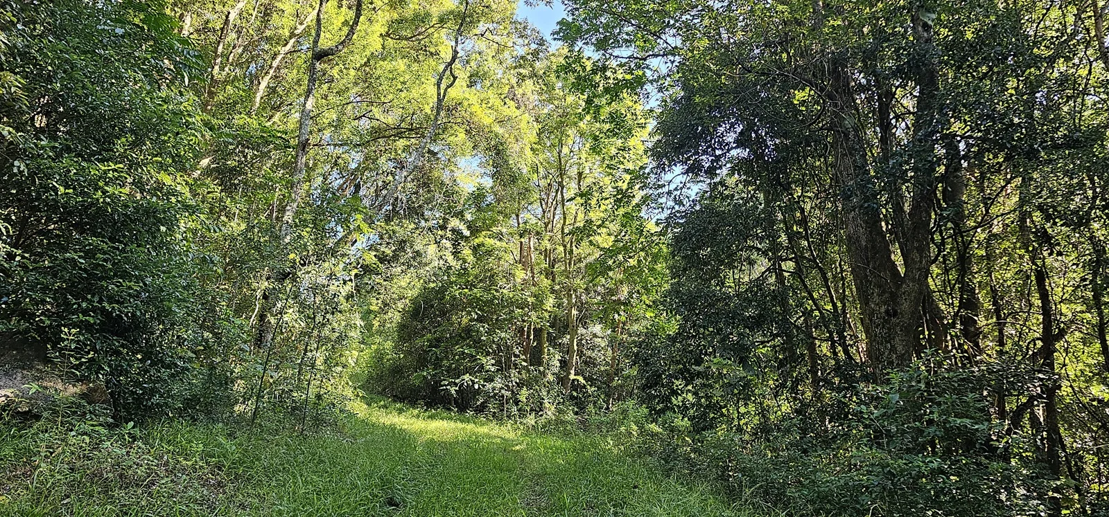 Image 8