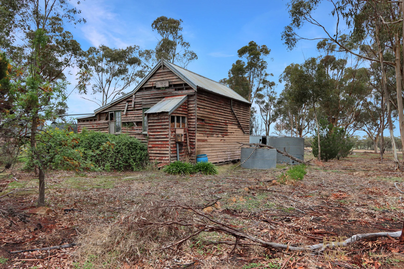 Image 10