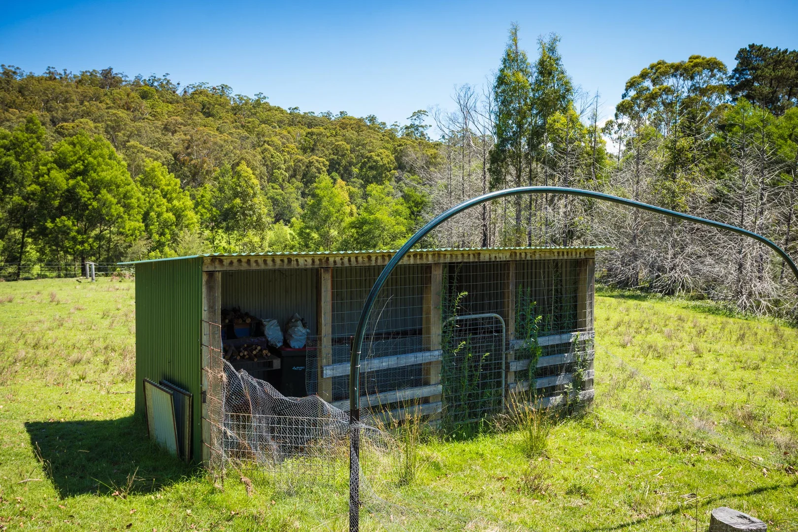 Additional image 11 of 2131 The Snake Track, Towamba NSW 2550