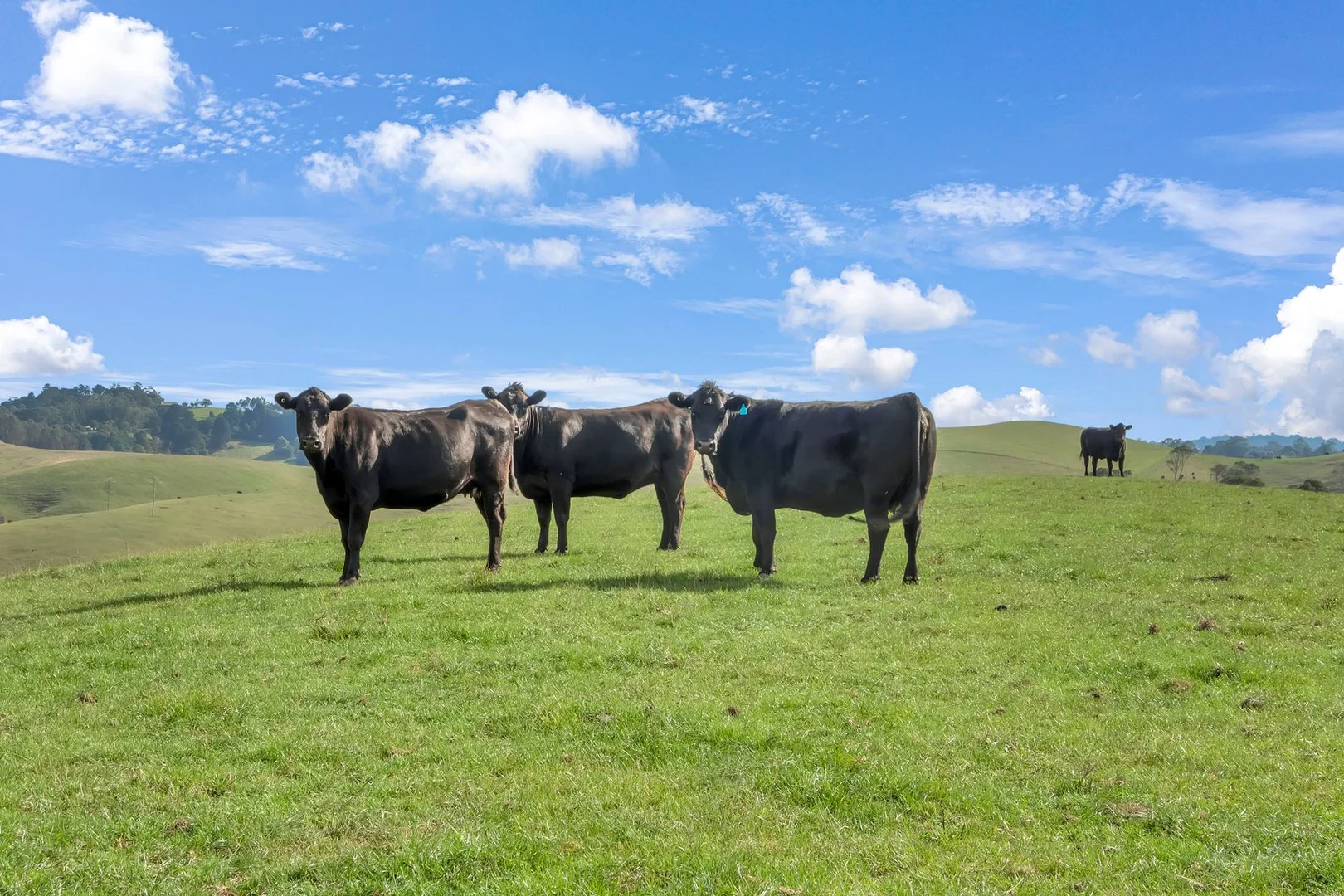 Additional image 33 of 3655 South Gippsland Highway, Foster VIC 3960