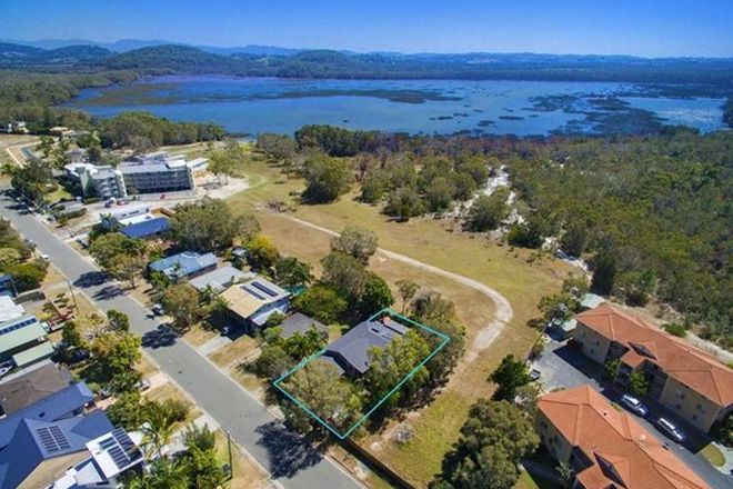 Picture of 61 Tamarind Avenue, CABARITA BEACH NSW 2488