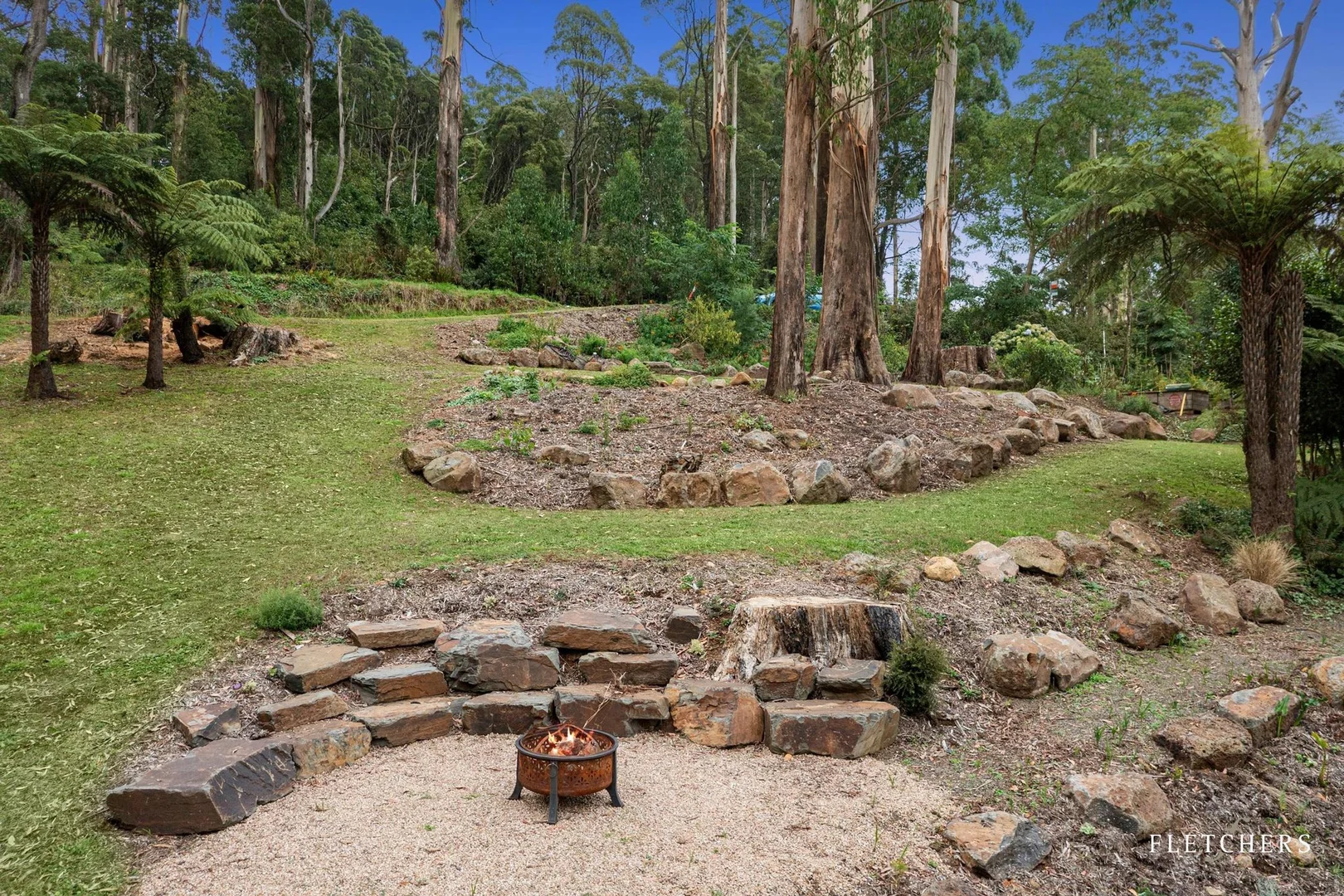 Image 19