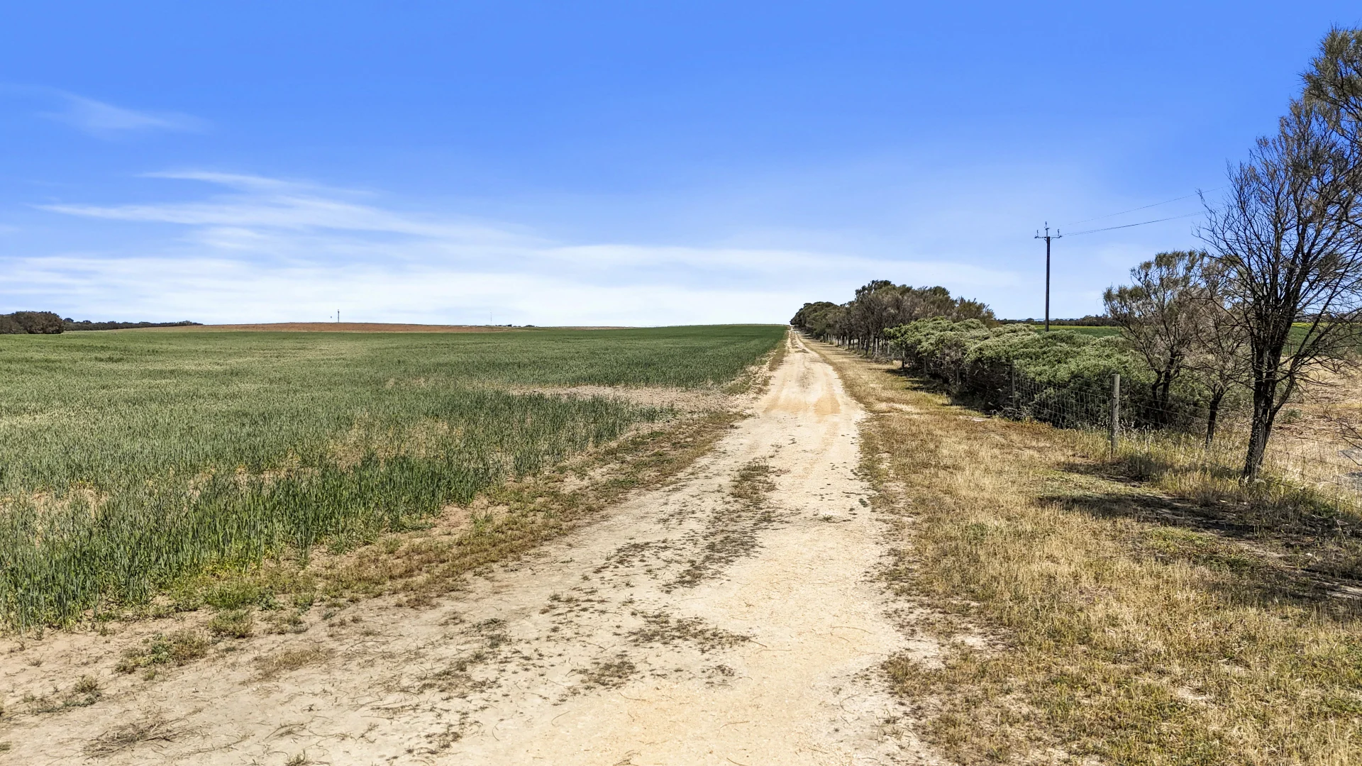 Image 14