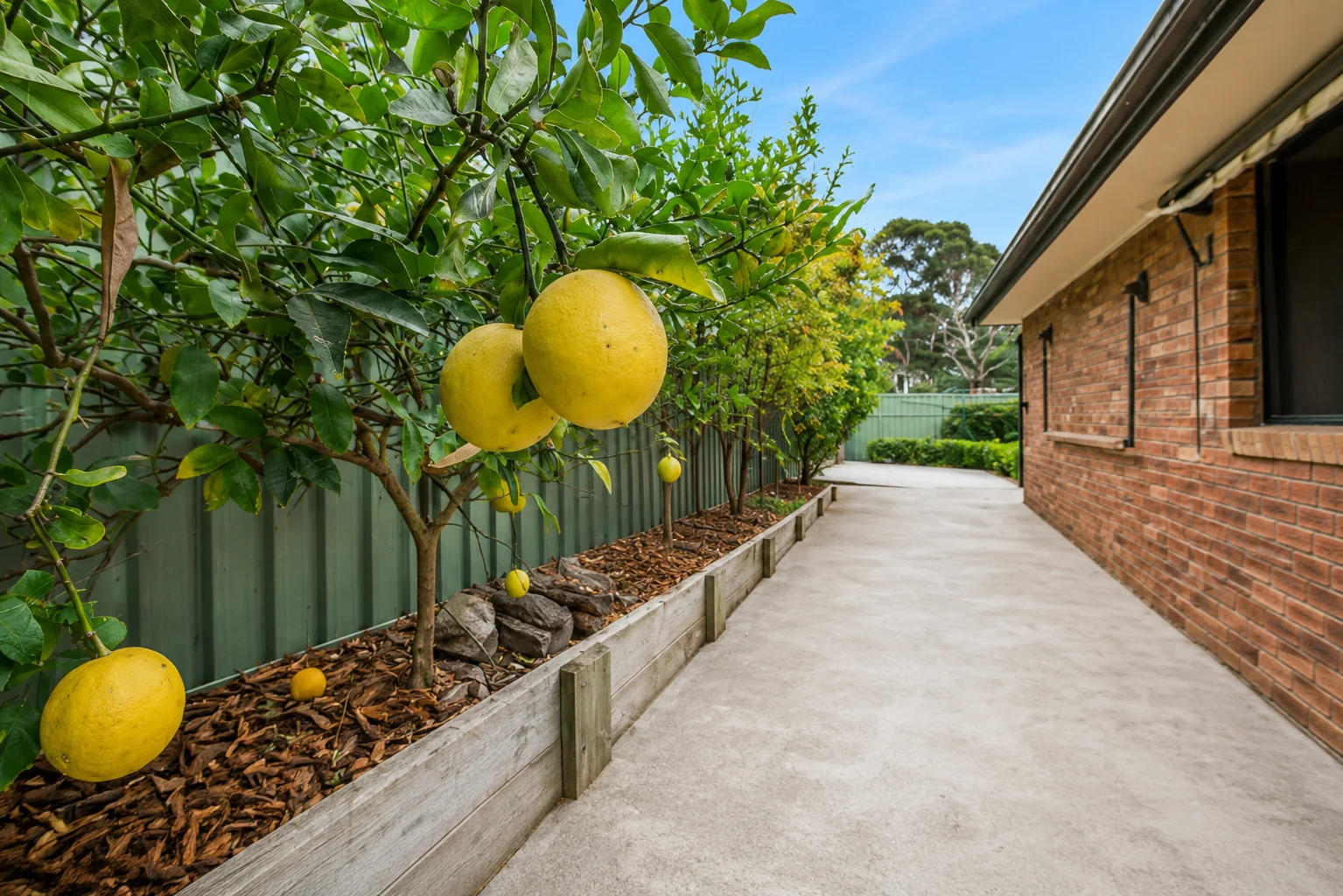 Wyee NSW 2259 photo 5