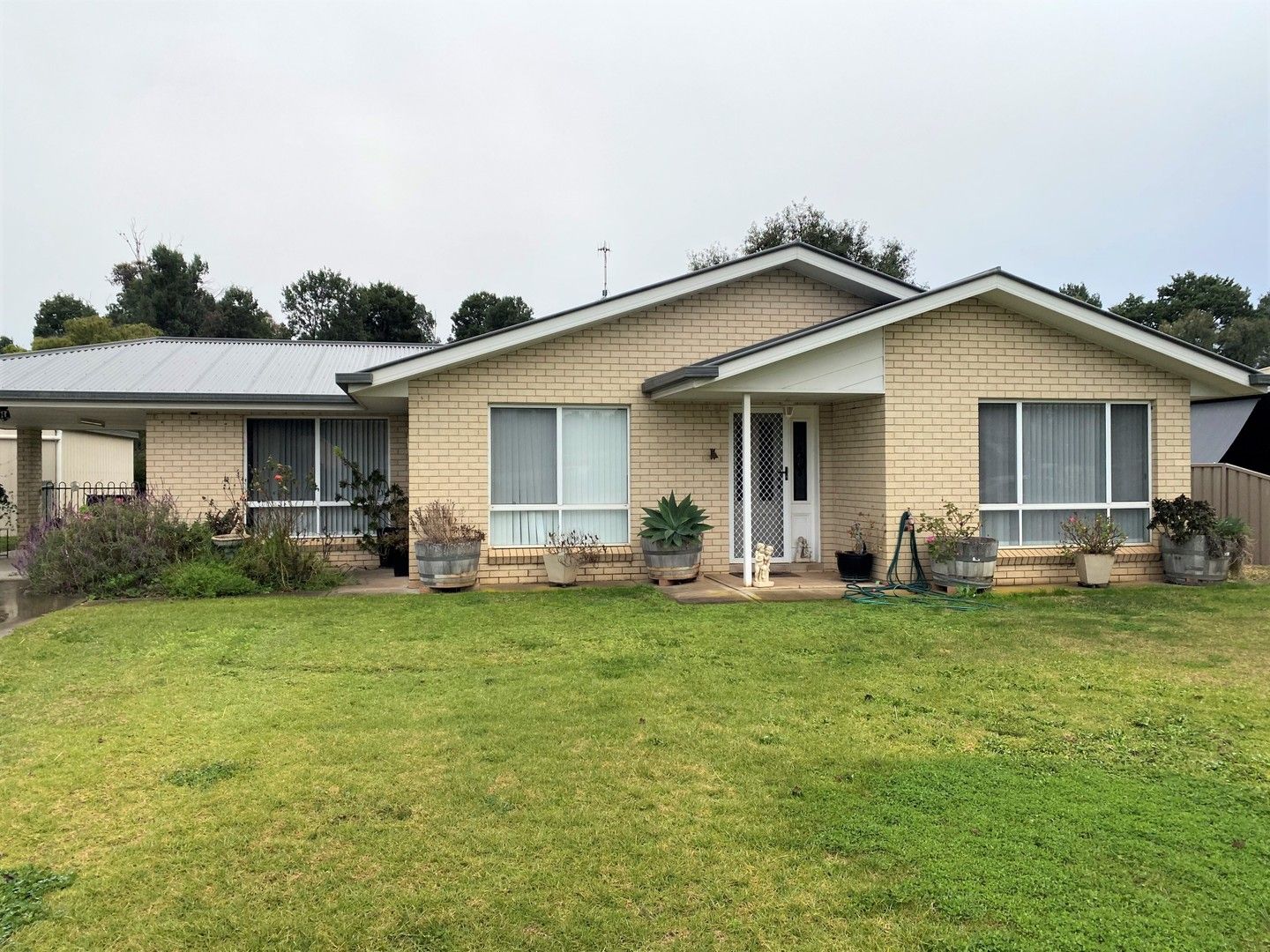 9 Curlew Cresent, Coleambally NSW 2707 House For Rent Domain