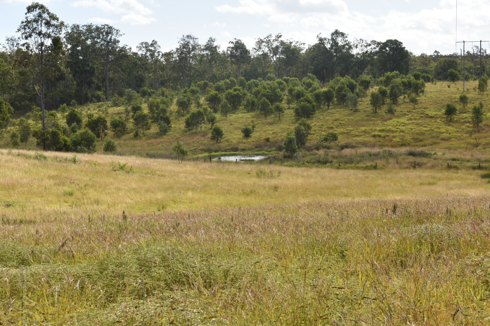 LOT 2 Maryborough Biggenden Rd, Aramara QLD 4620, Image 2