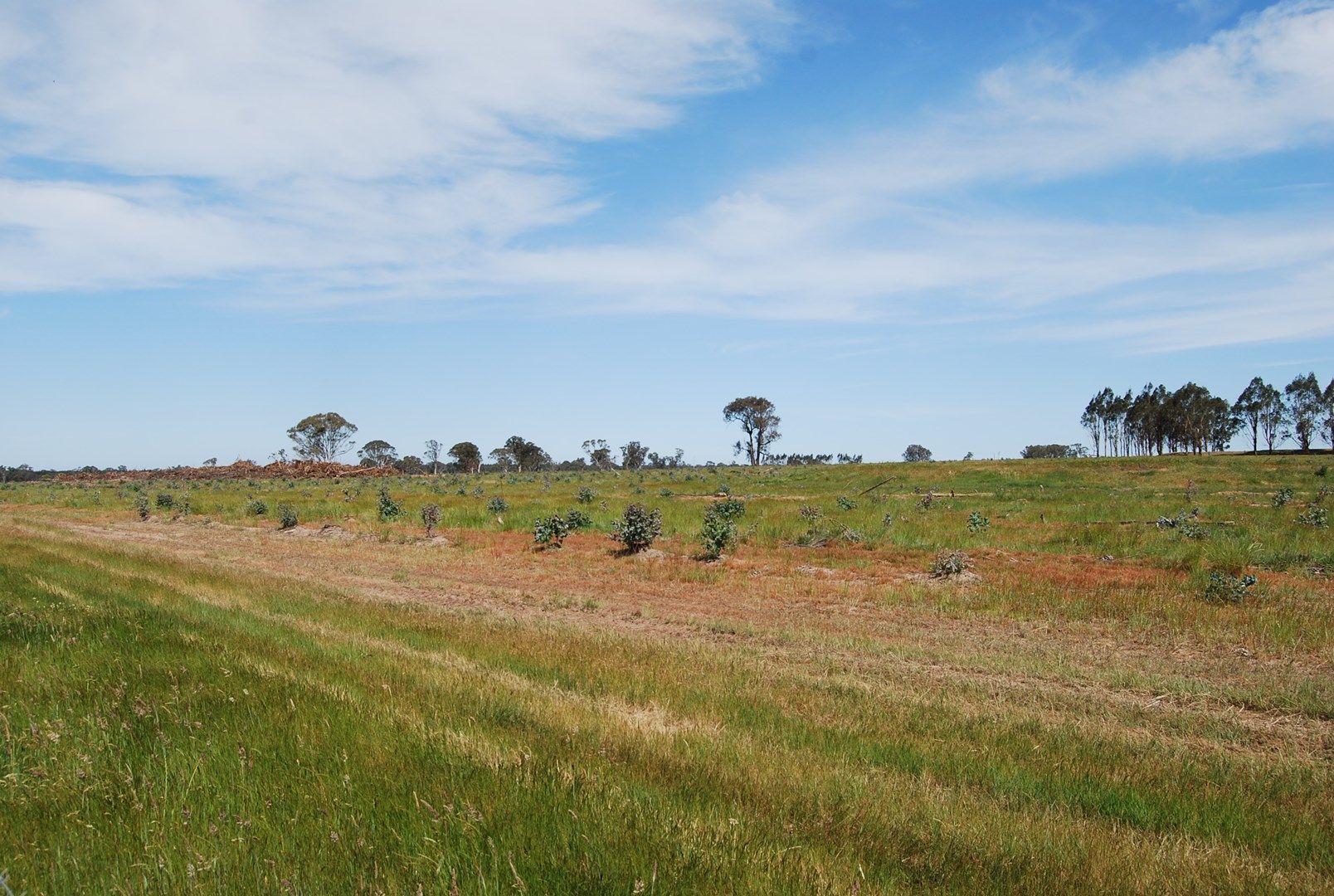 CA19, Sec 1 Munro-Stockdale Road, Munro VIC 3862, Image 0