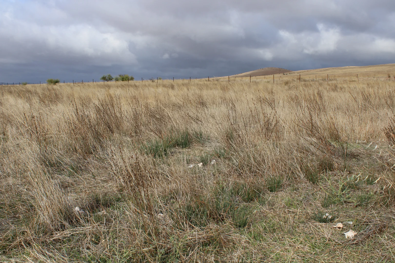 Image 44