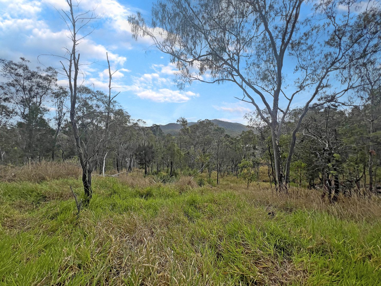 Herberton QLD 4887, Image 2