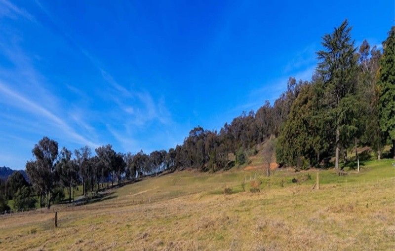 Lot 21 Lexington Place, Hamilton Valley NSW 2641, Image 0