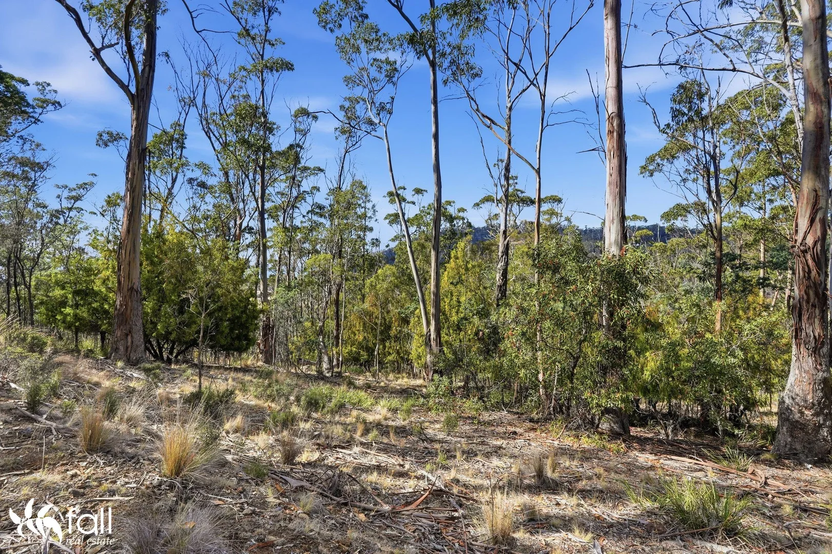 Additional image 8 of 40 Dexter Drive, Mount Rumney TAS 7170