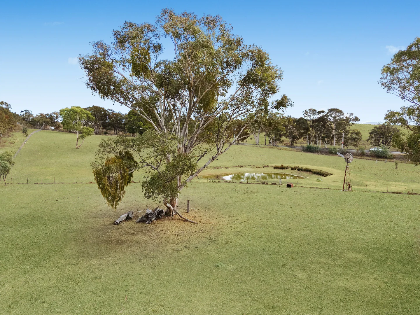 Image 13