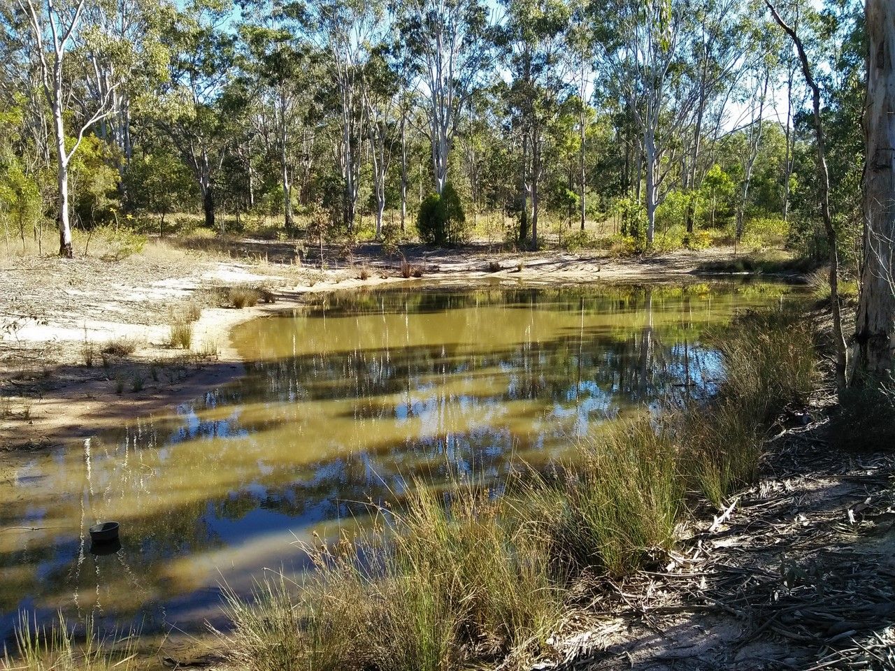 44 Beh Road, Cressbrook Creek QLD 4355, Image 1