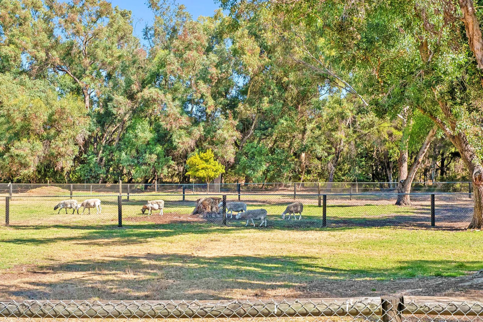 Additional image 30 of 130 Rookwood Street, Henley Brook WA 6055