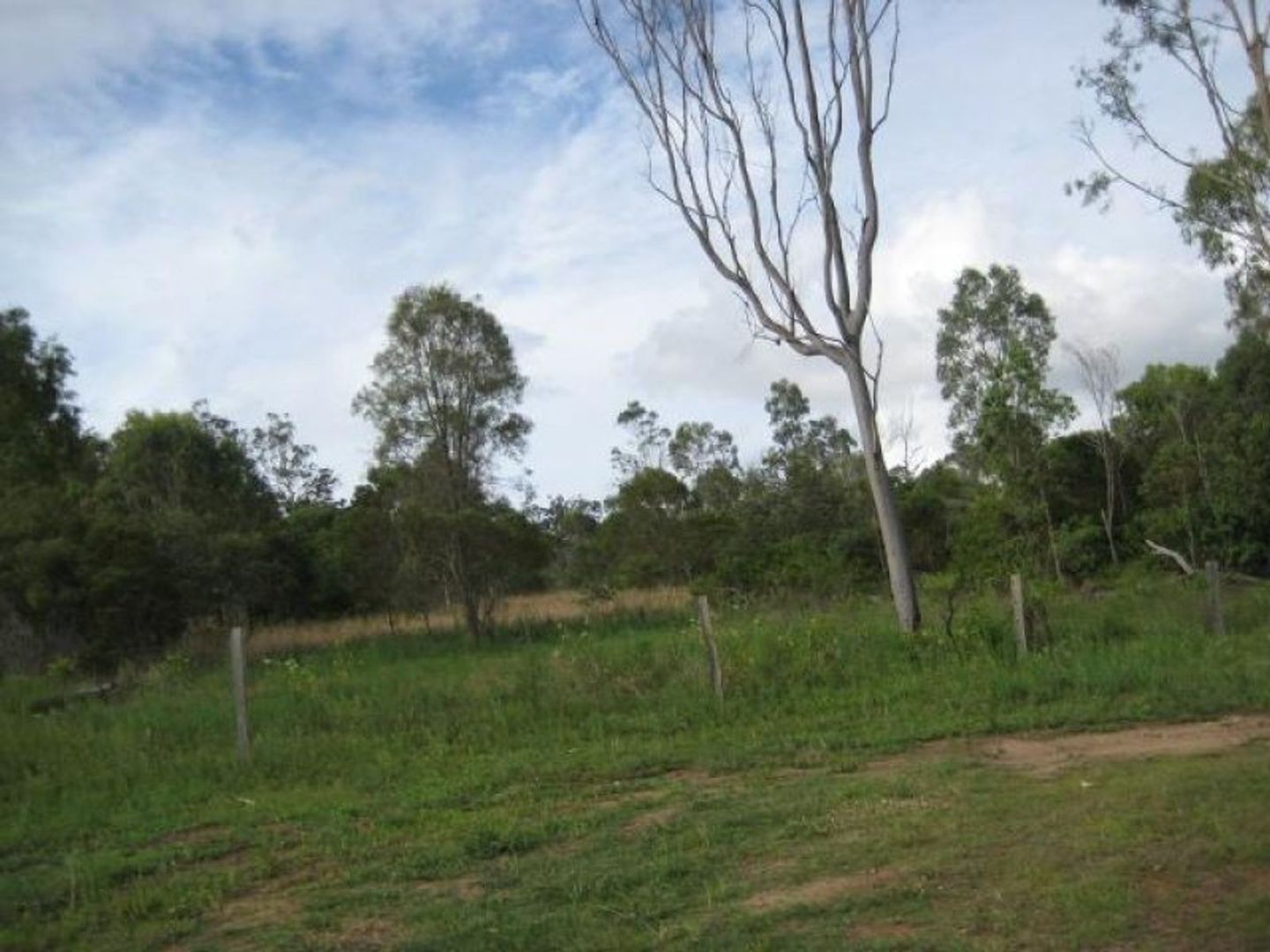 South Kolan QLD 4670, Image 2