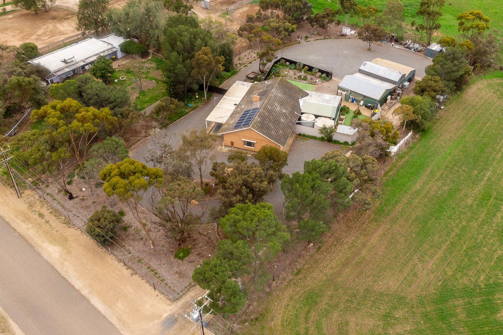 4 bedrooms House in 6 Horticultural Avenue MURRAY BRIDGE SA, 5253